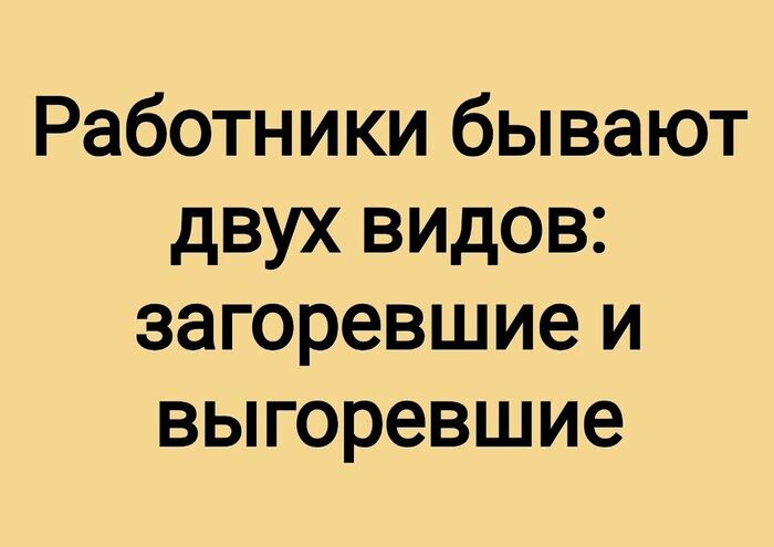    ,   , , ,  , Telegram ()