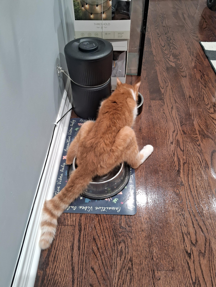      ? , , ,   , , , , 