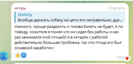   ,    .    5   ,  , , ,  , Telegram (), 