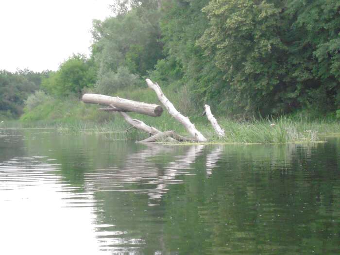 Инсталляция.