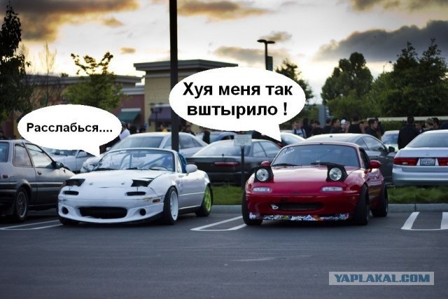    ))