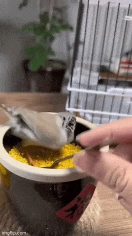    , , , 