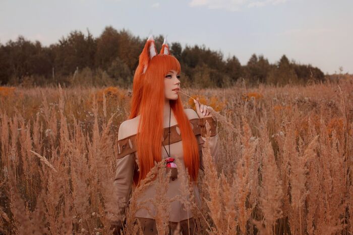   ,      () , , , , , Animal Ears, Spice and Wolf, Holo, , Caticornplay