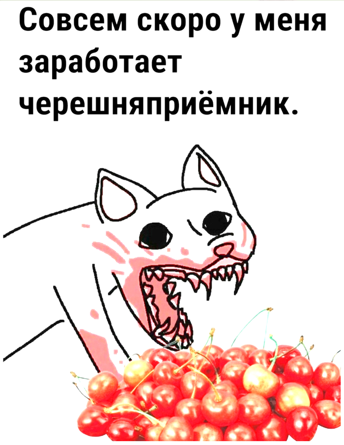  ,   ,  