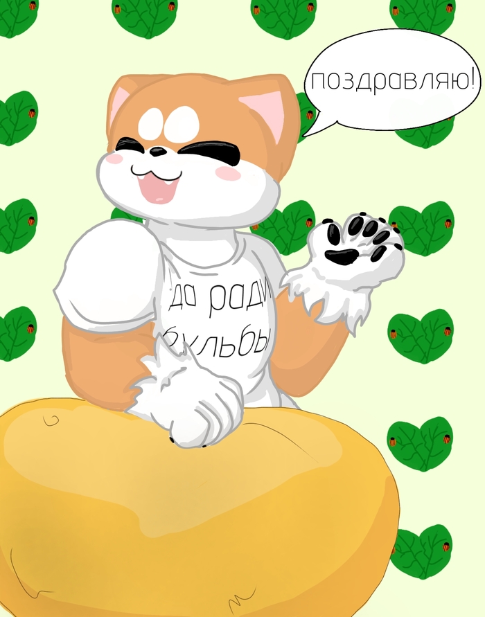 ³! ,   , , ,  