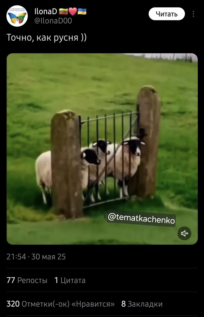 Овцы раскрывают нам глаза