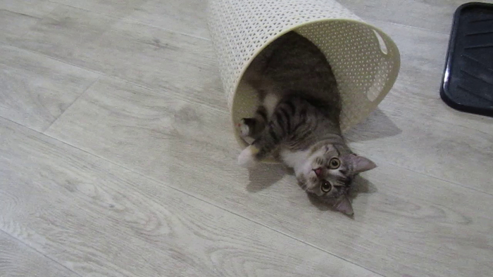 Продолжение поста «Ку-Ку!»