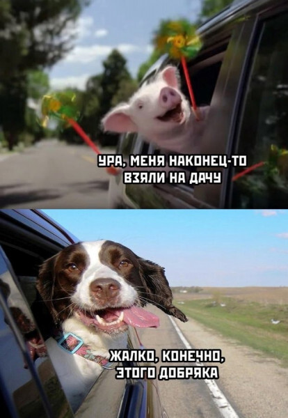    ,   ,  , , , 