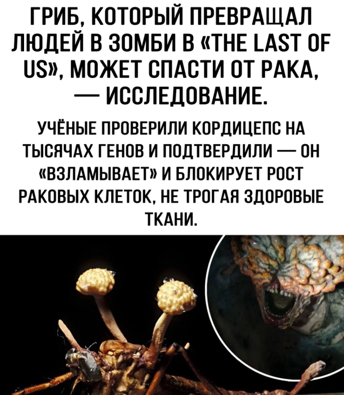.. ...  ,   , , , , , , 