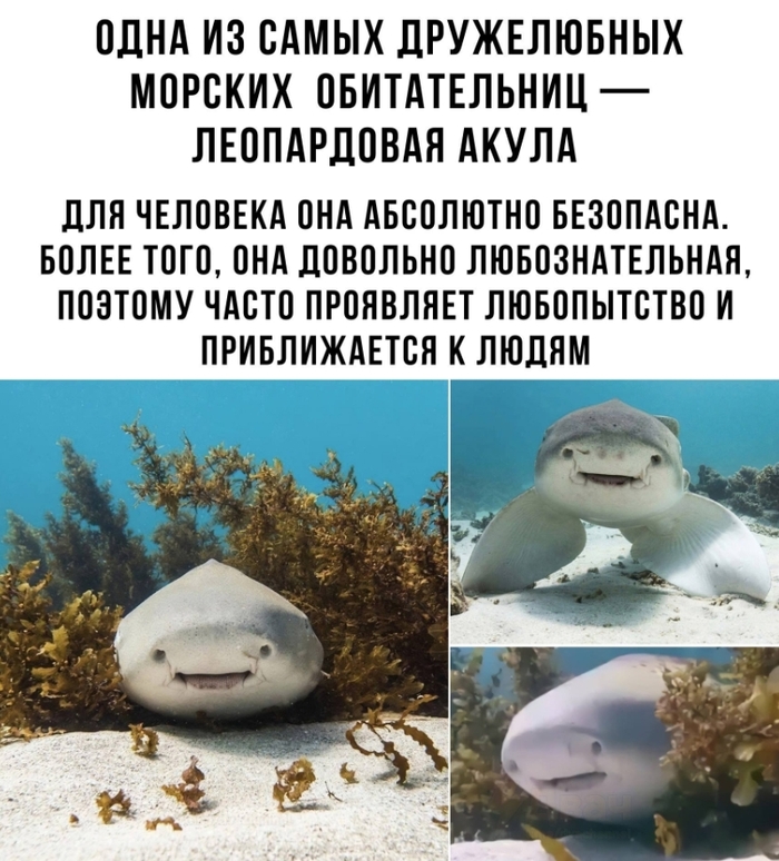 � ����� �� ��� ���...