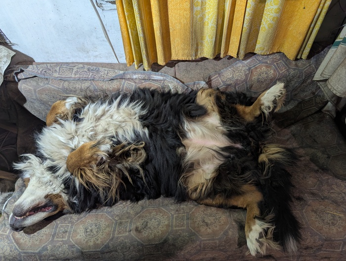 ����������� ����� ���������