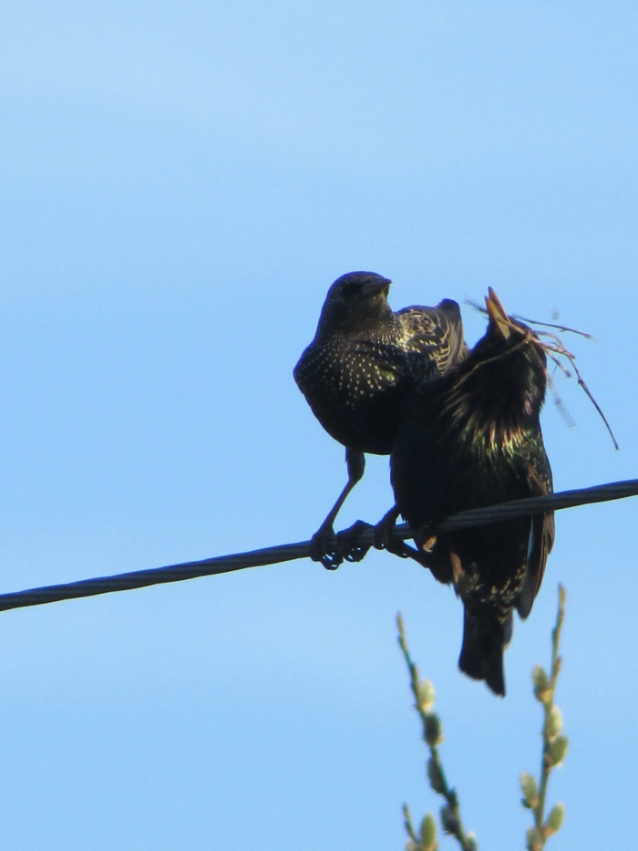 �������� ��������)) ������ ���� ������ ���������, � ������� ������ ����� ������������! ����� ����� ���� - �������� �� ����� �������� ������� � ������ �� ����� 