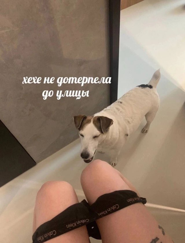    ,   ,  , , 