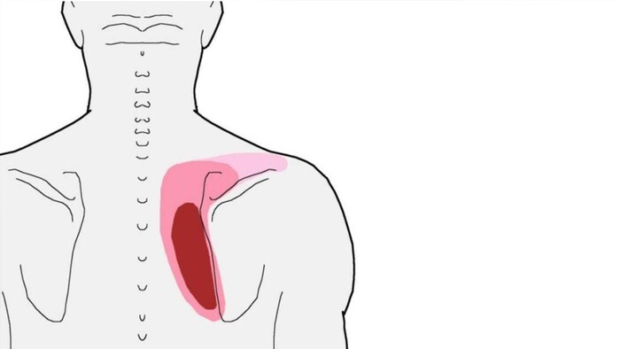 ���� ��� ��������