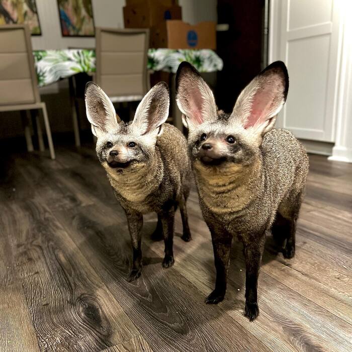 ׸ ��� �� ���� � �� ����� - �������� ������ � ��������������� ����������, ����� ��� ������� ������/����������� ������ ���������� (������ �������).