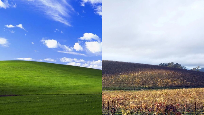       Windows XP:    2025  , Windows XP, ,  ,  ,   (), 