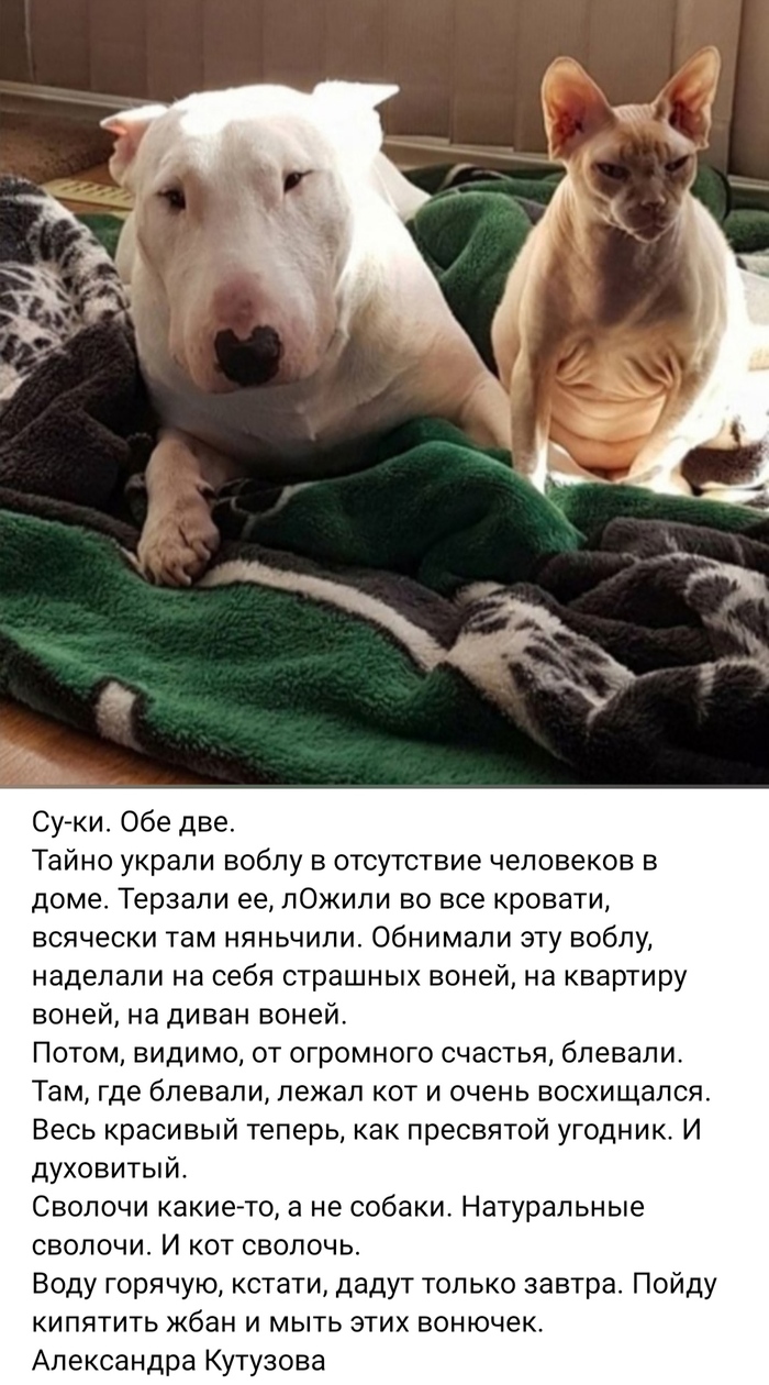   , , , , ,   , ,    