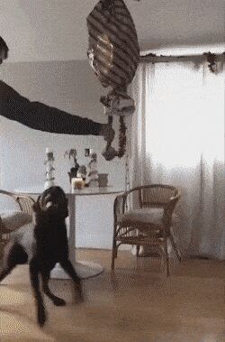   , , , 
