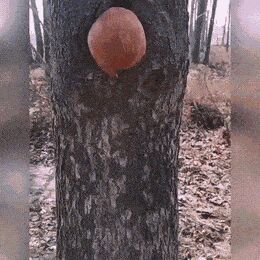   , , , 