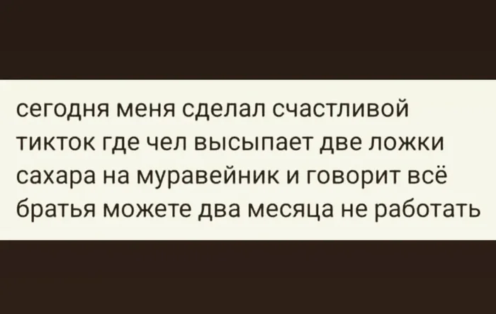 qo5rdjsx.webp