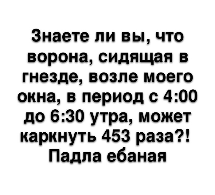 -    , ,  ,   , Telegram (), ,  