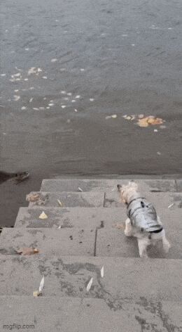       , , , 
