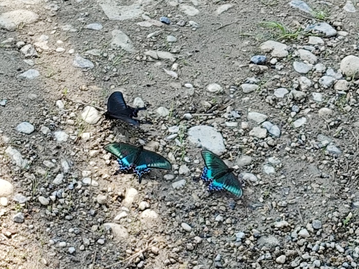    ,  , , , ,  ,  , 