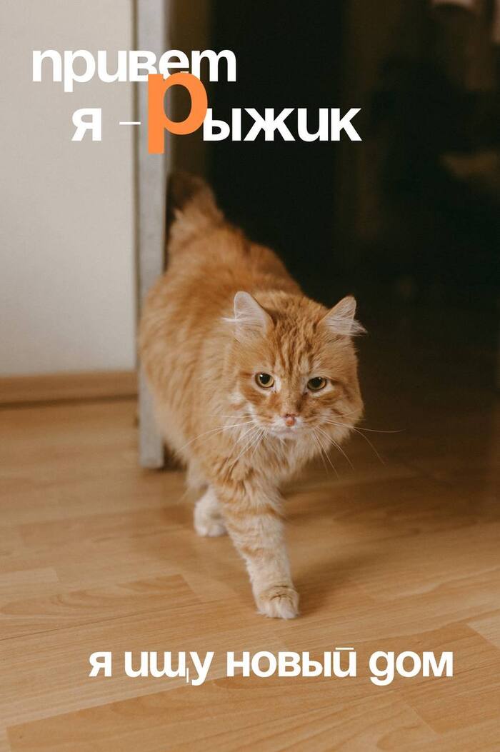 -    .   .     , , , ,  , ,  ,  , 