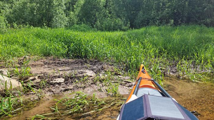 Тот самый родник, вернее, место, где он выходил к реке. Берег здесь грязный и заросший.