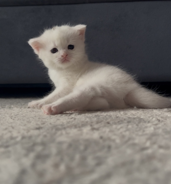  ,  , ,  