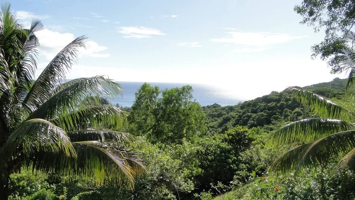    .           .    , ,  ,    .