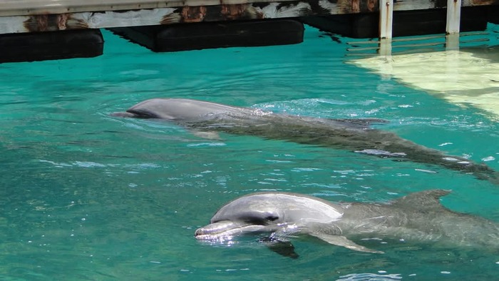      ,   ,   ,   ,     ,    ,      , ,   .