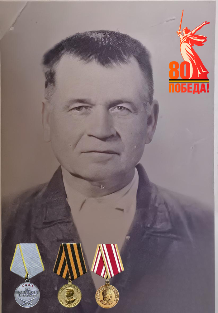  :  Ը  ,   , ,   , , ,  , , 80  , 