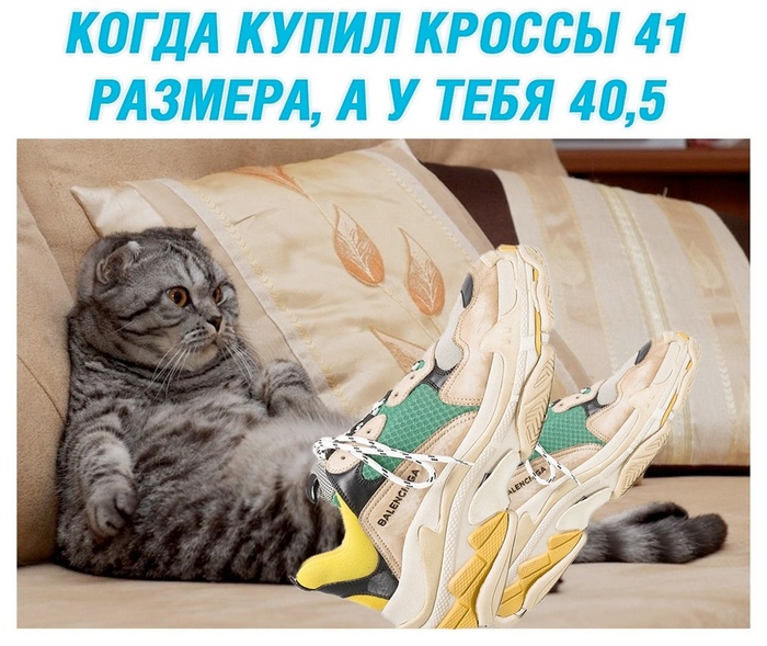 , 