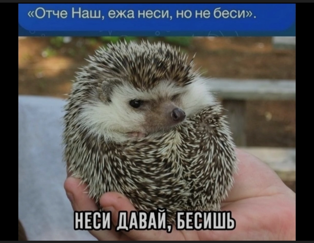 etfrcvoz_lg.jpg