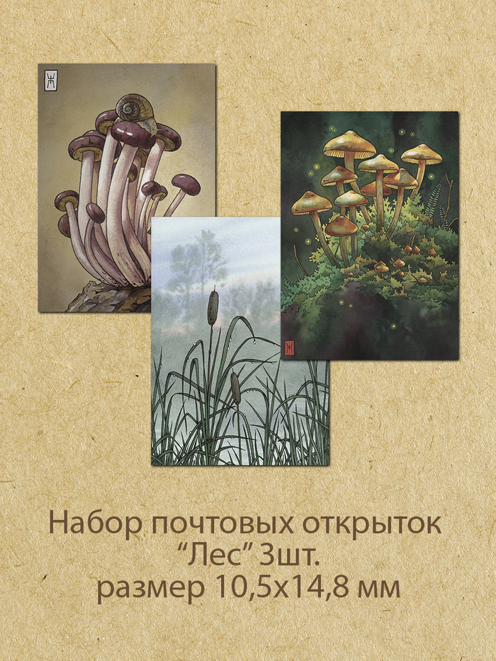 <!--noindex--><a href="https://pikabu.ru/story/risuyu_akvarelyu_vsyakoe_podborka_gribnaya_12855616?u=https%3A%2F%2Fwww.ozon.ru%2Fseller%2Fakvarel-evgenii-brukish-2351482%2Fproducts%2F%3Fminiapp%3Dseller_2351482%26__rr%3D1&t=https%3A%2F%2Fwww.ozon.ru%2Fseller%2Fakvarel-evgenii-brukish-2351482%2Fp...&h=7475d2a2faedd17b0f82e4715dfc4ba1b70c88b6" title="https://www.ozon.ru/seller/akvarel-evgenii-brukish-2351482/products/?miniapp=seller_2351482&__rr=1" target="_blank" rel="nofollow noopener">https://www.ozon.ru/seller/akvarel-evgenii-brukish-2351482/p...</a><!--/noindex-->