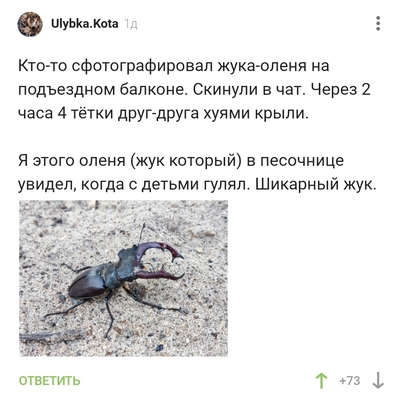 Иллюстрация к комментарию