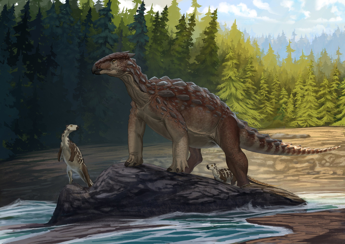  ,   ?      ?  ,     ...