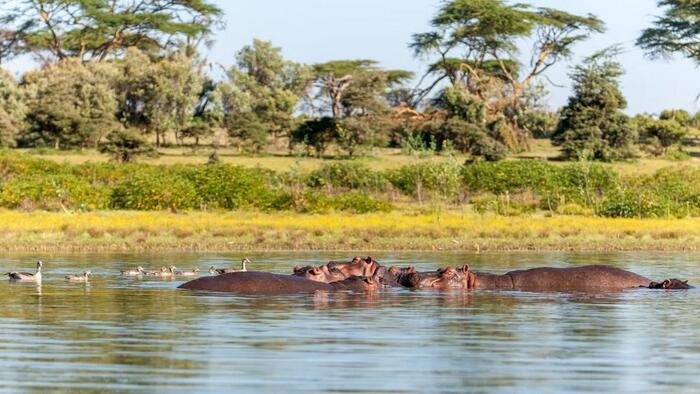 ���������� ����� ���