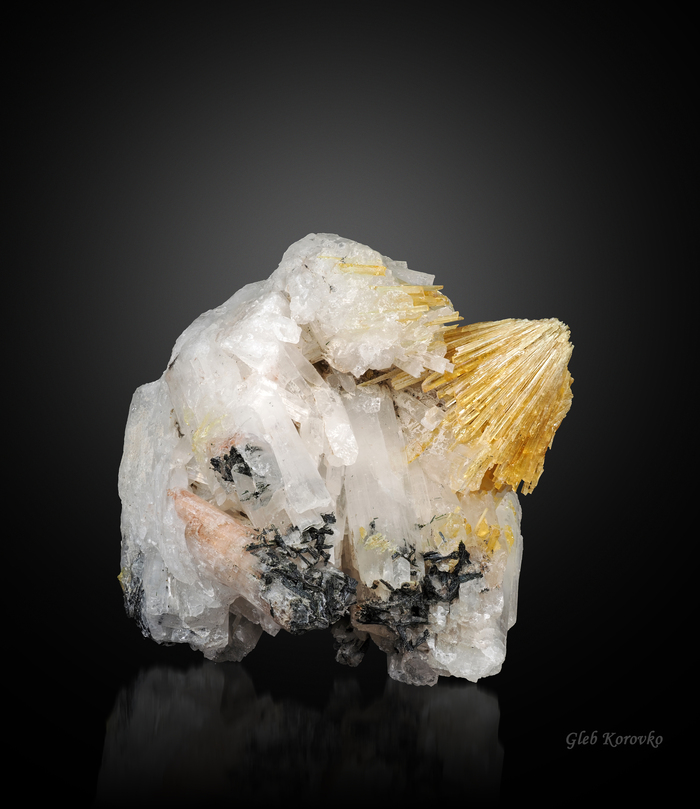 Общий вид образца