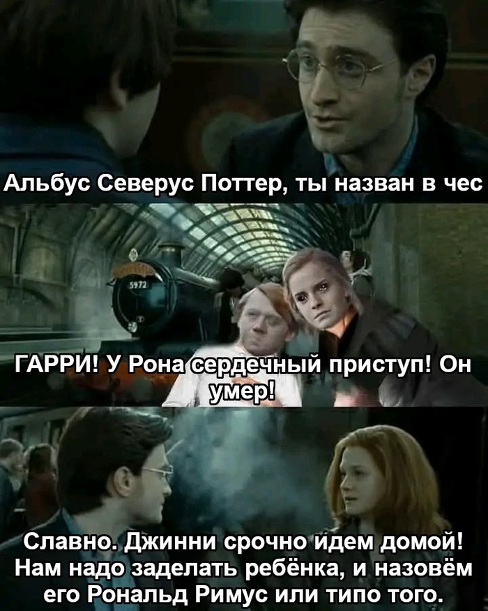  ,   ,  , , ,   ,  ,  ()