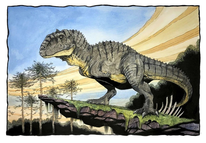  ,       .      ...  !