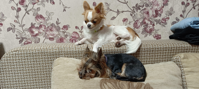     ,    .     .    -      .