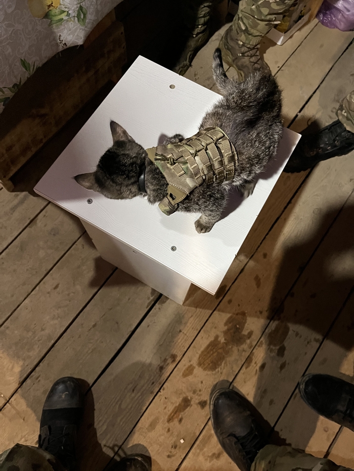 ��� ���!