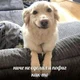 ����� ����� ������ ���� �����������