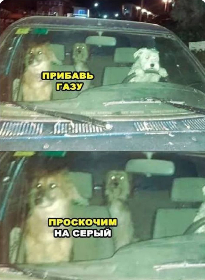 ������ ��� ���