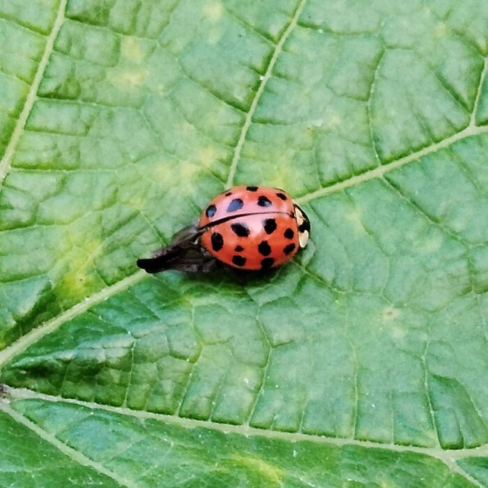 19 точек не рекорд!