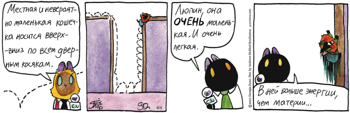 Котейкины Новости от 04.06.2025