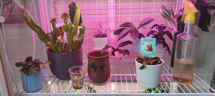       , , , ,  ,   , 