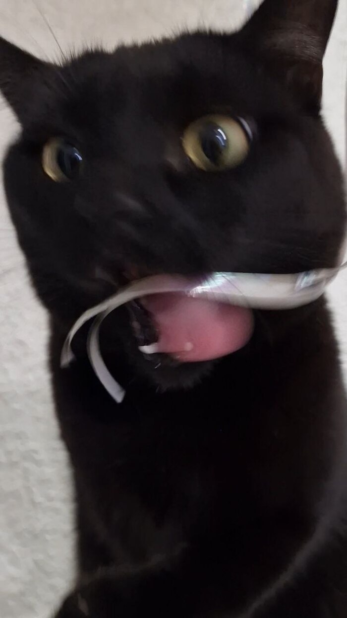  ,  , 